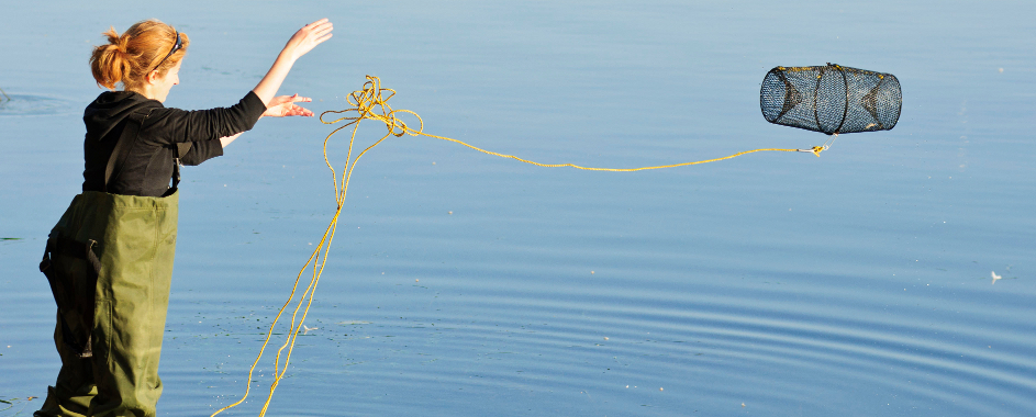 Field work: Lake Ontario