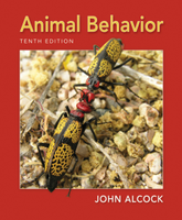 Animal Behavior