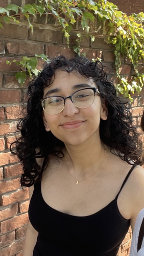 Sana Alipour