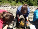 Photographing Midshipman Nests