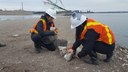2018 Field Work