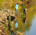 Dr. Balshine is often seen working in the field with her students.