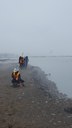 Setting minnow traps in the fog