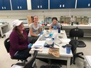Dissections in the Lab