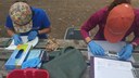 Kirsten and Sherry measure fish from Cootes Paradise in 2017.