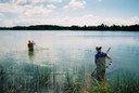 Seining is one of the ways we collect fish in shallow waters.