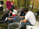 Sorting Fish in the Field
