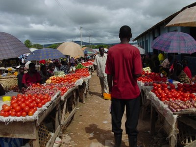 Tomato Stalls