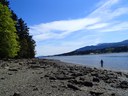 Ladysmith Inlet low tide