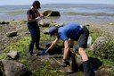 Measuring distance betweens nests