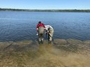 Grade seven's learning to look at water temperature and turbidity.