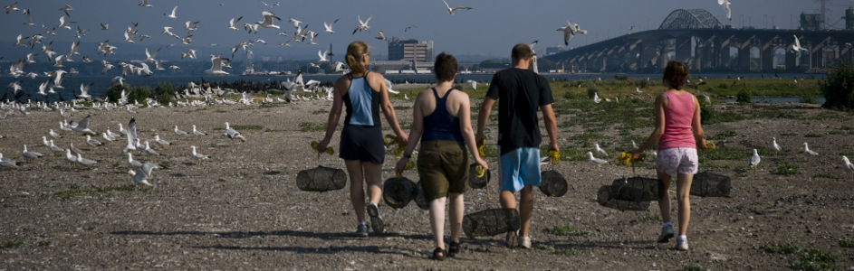 Hamilton Harbour 2