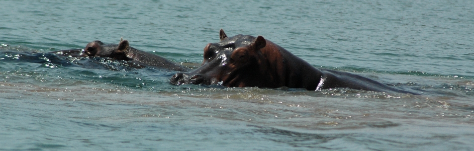 Lake Tanganyika 2